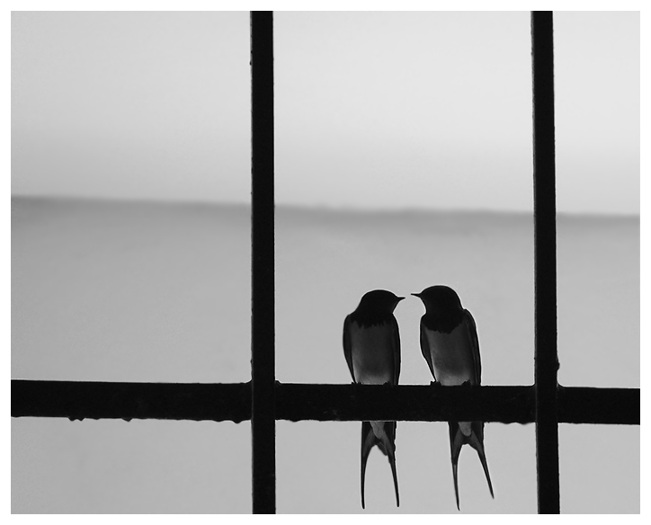 Über Frühjahr mit Liebe