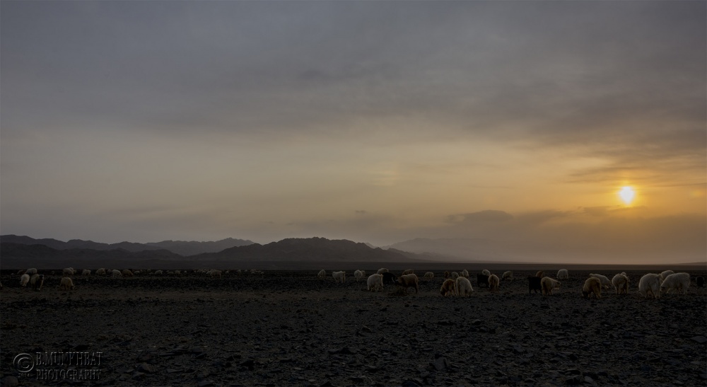 Frühlingsabendsonne