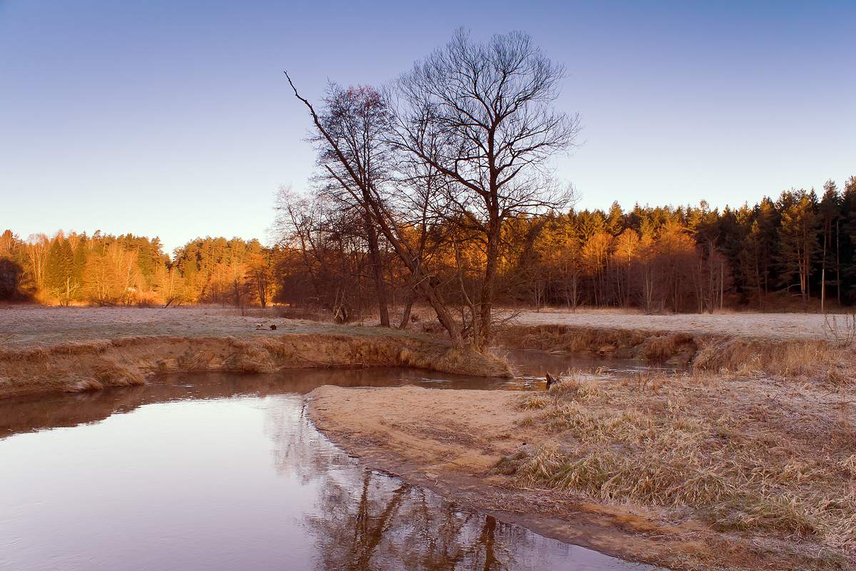 Frühlingsmorgen auf Isloch