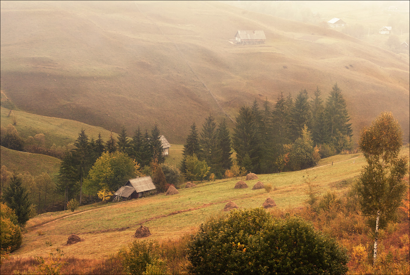Nebel am frühen Morgen im September