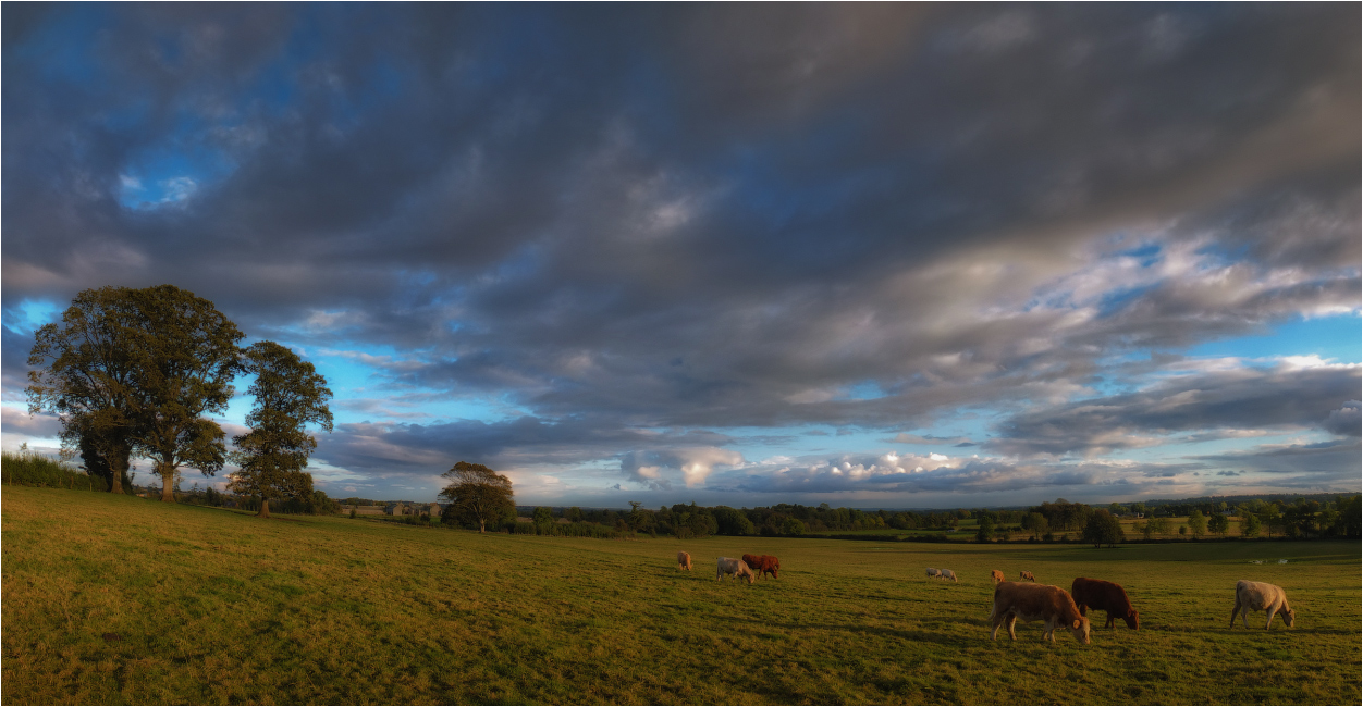 Ein Tráthnóna Samhain ... ...