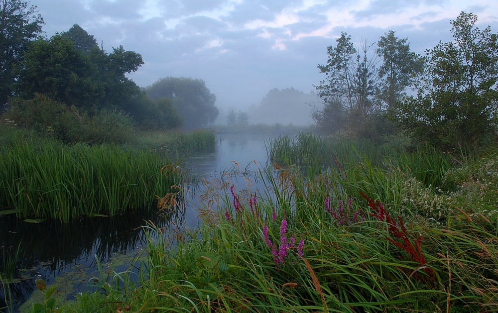 Vor der Morgendämmerung