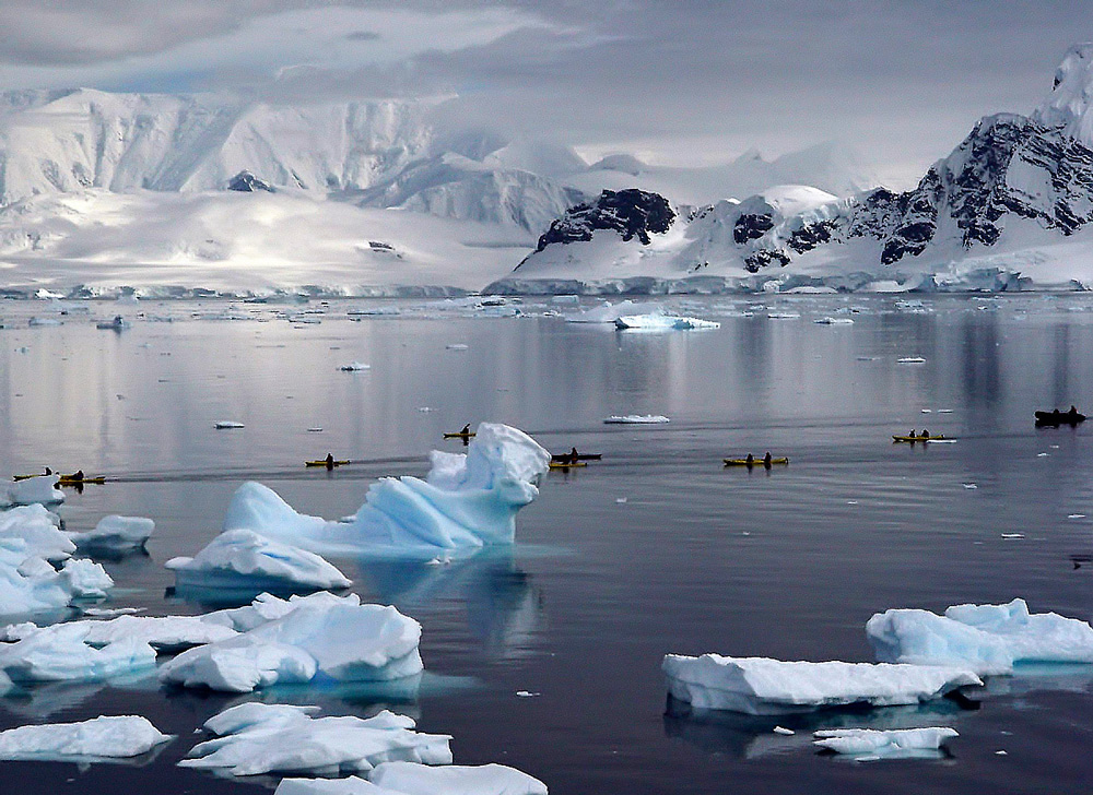 Exkursion in der Antarktis ...