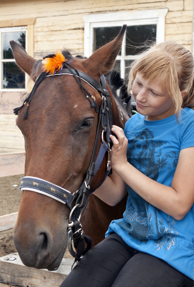 Ich liebe mein Pferd