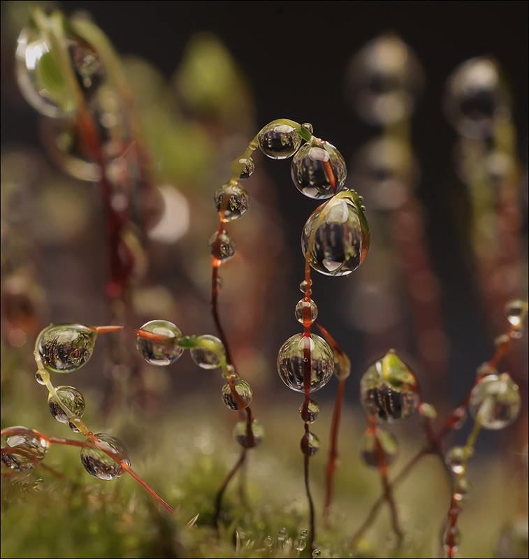 Stahl Unvermeidlichkeit ...