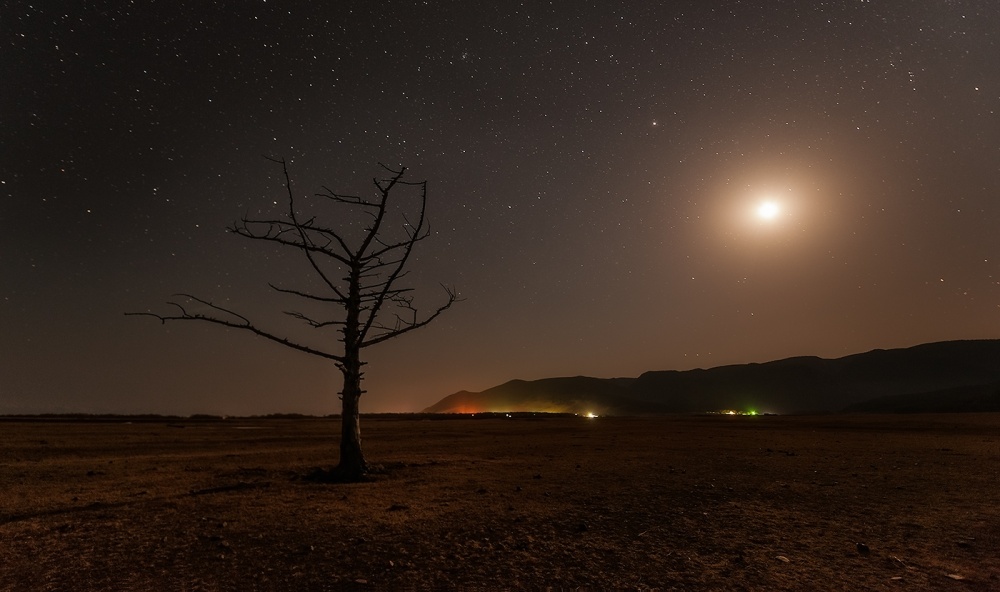 In der Stille der Nacht ...