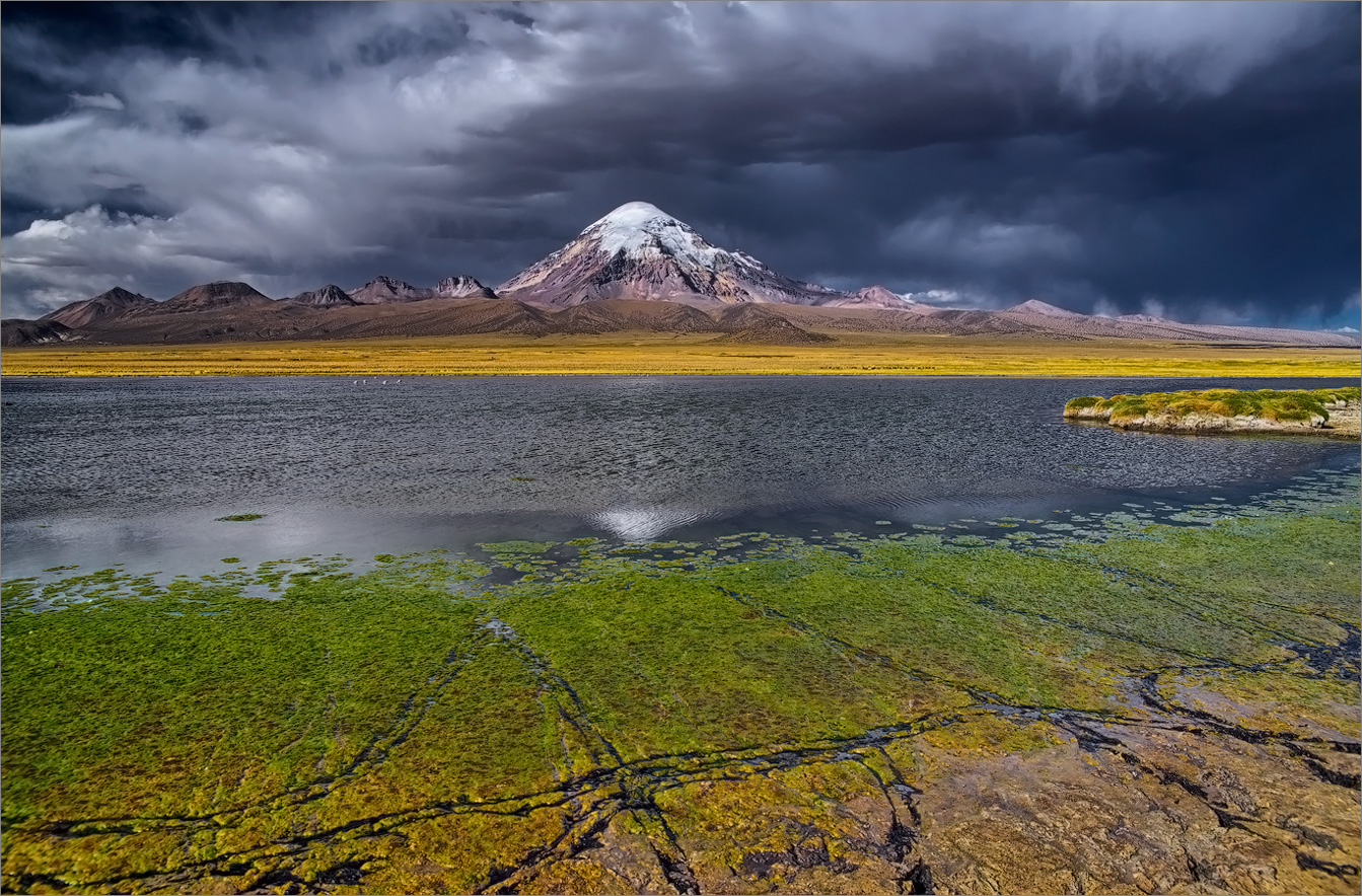 Abdrücke auf der Küste