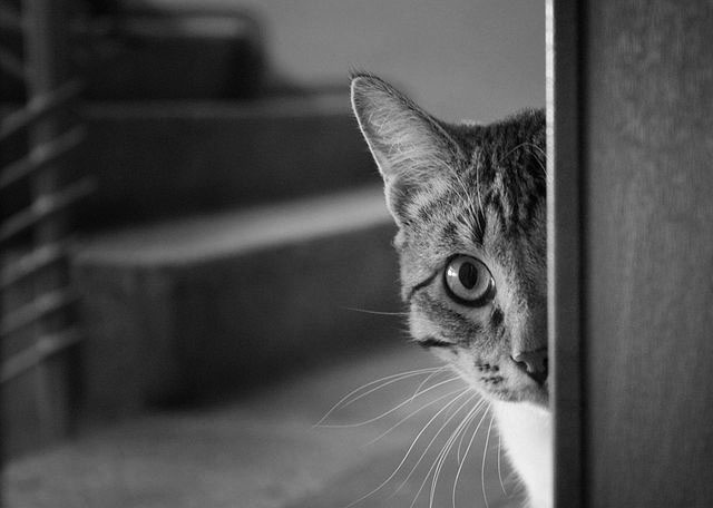 Sie einen neuen Mieter nicht brauchen?