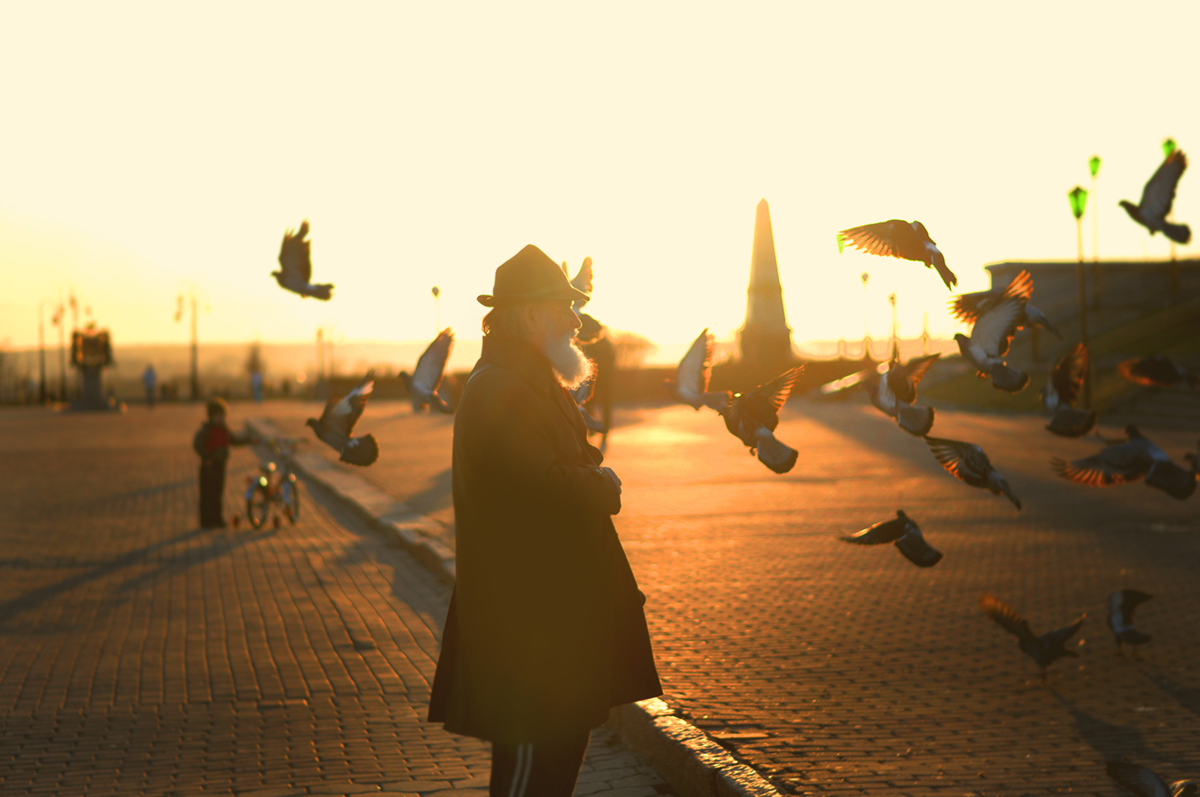 Der alte Mann und Tauben