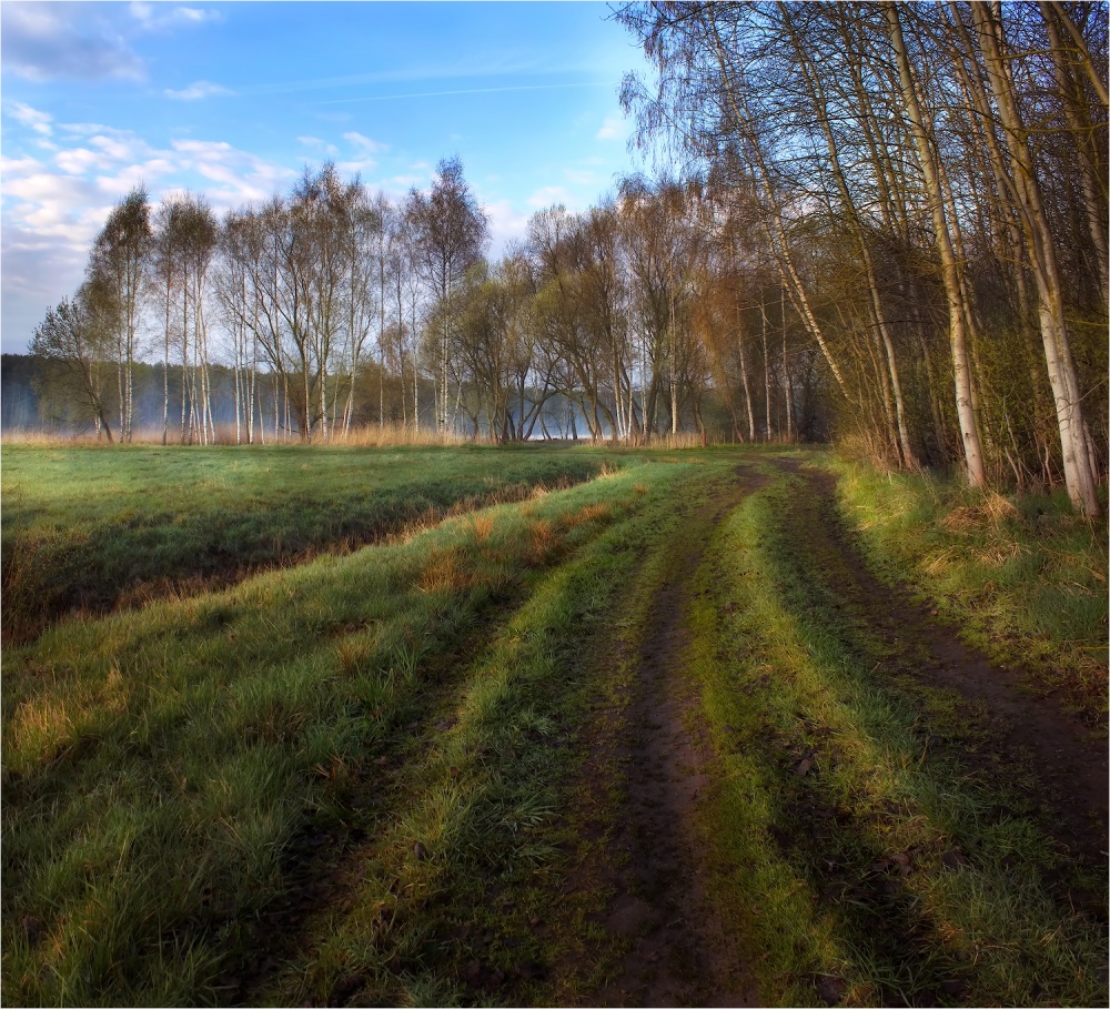 Über Frühlingsmorgen