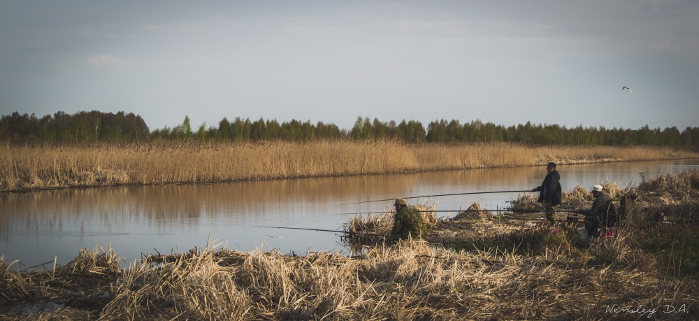 Warten auf einen Biss