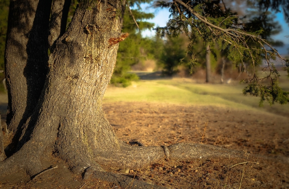 Bei Sonnenuntergang ..