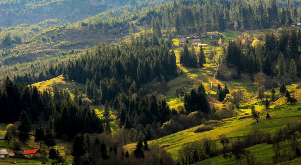 Das Leben in der Nähe des Waldes.