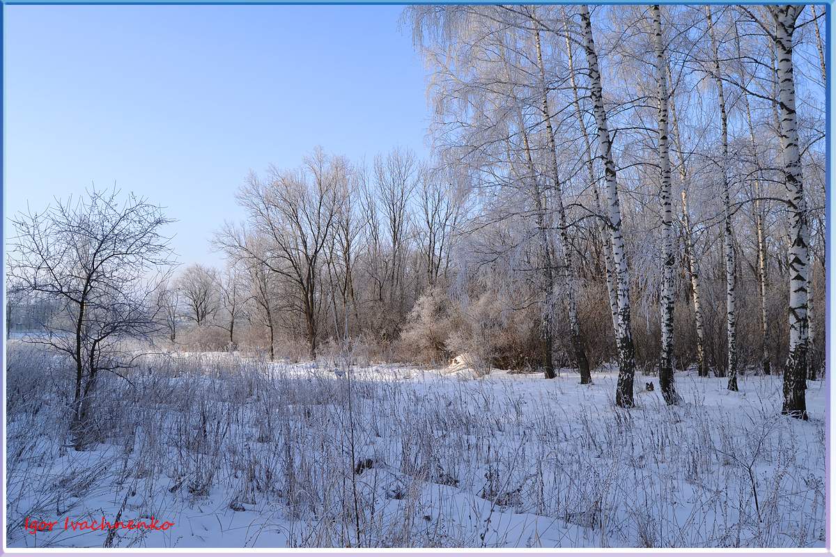 Das Ende des Winters