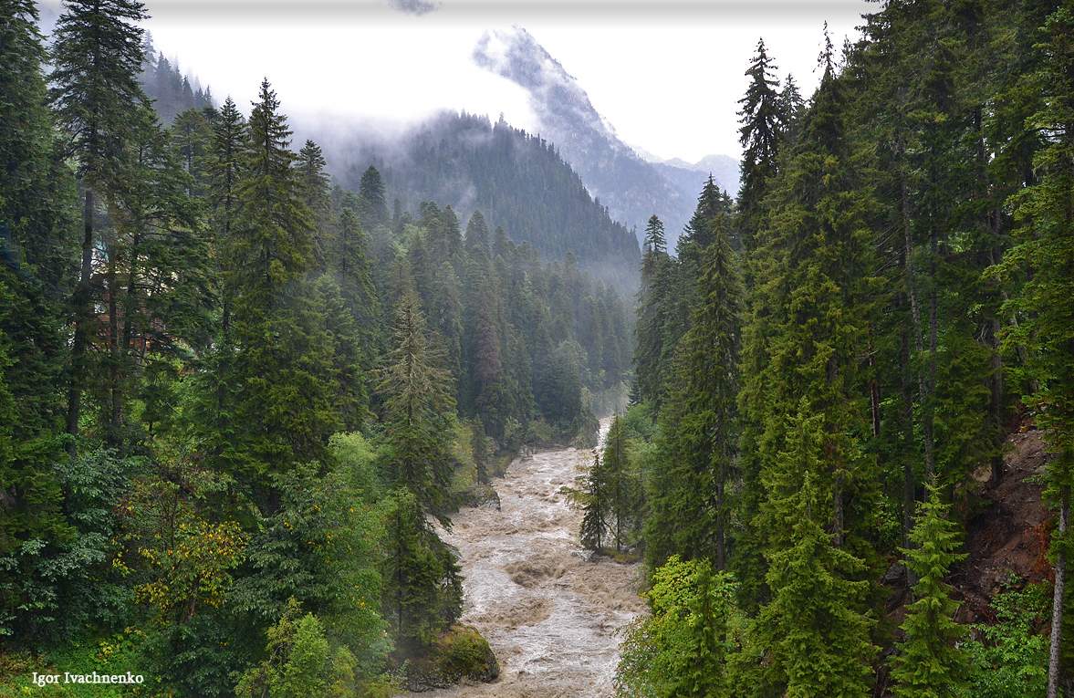 Dombay Verschmutzungen