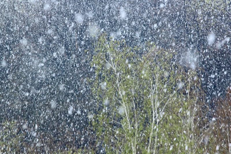 Und der Schnee fiel Mitte April