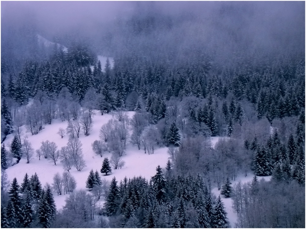 Die Chroniken von Narnia, Smoky Wald