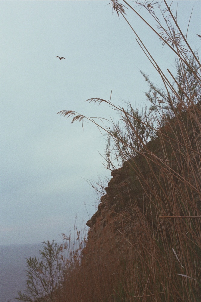 In den Himmel schweben