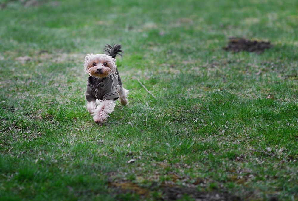 Und ich bin mit auf Sie!