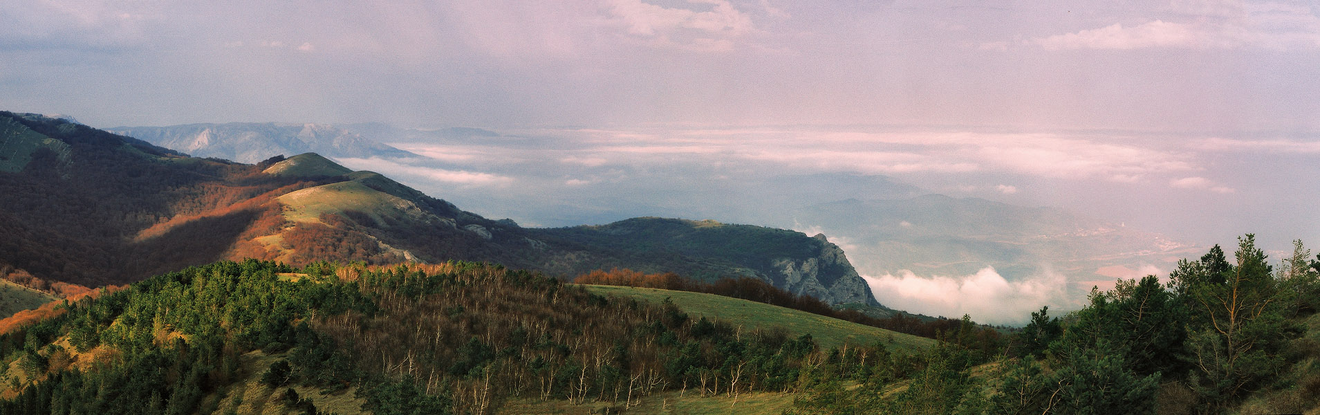 Vor 5 Jahren Demerji