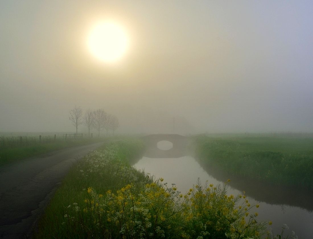 A foggy spring morning.