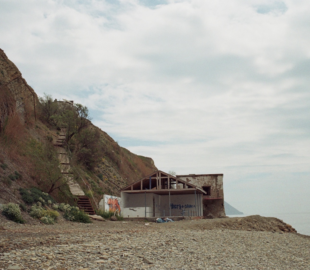 Zeigen Nest im Inneren