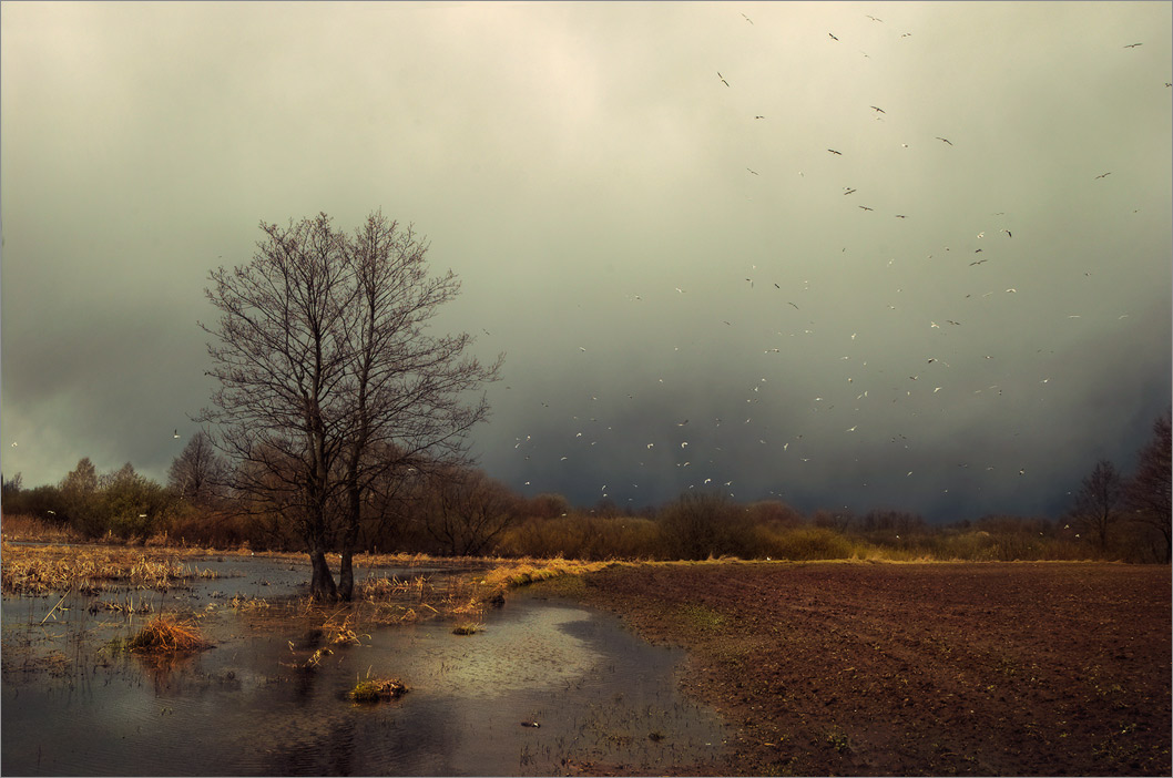 Der Duft des Frühlings