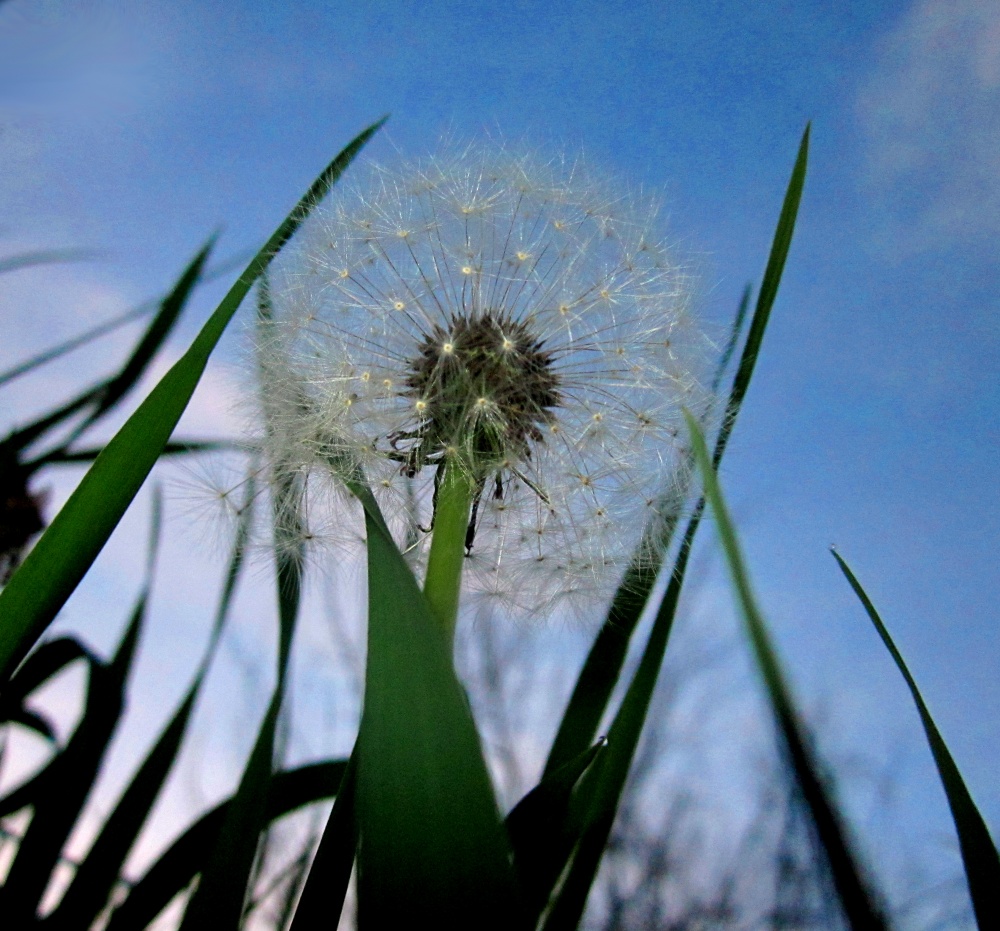 Fliege morgen wieder.