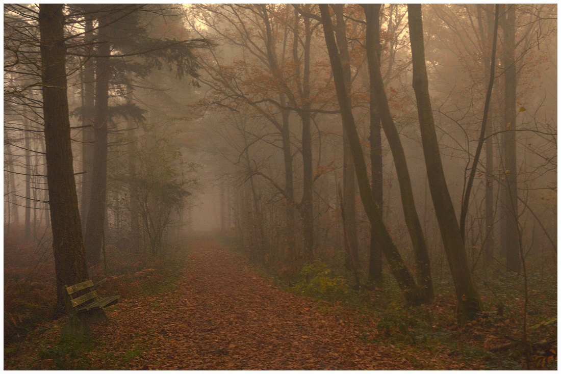 The end of the autumn.