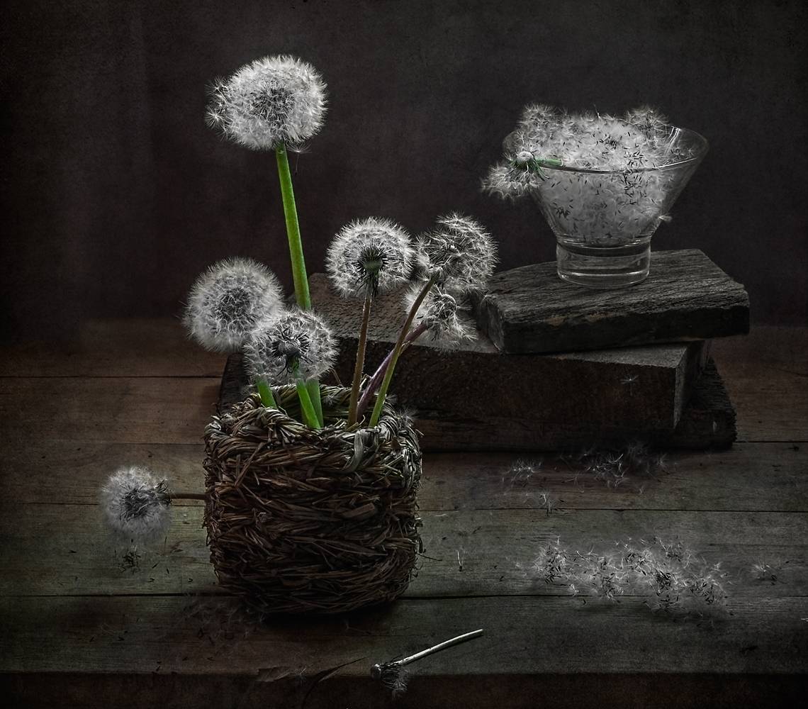 Aus der Serie "Und alle Rückkehr an die Spitze ..."