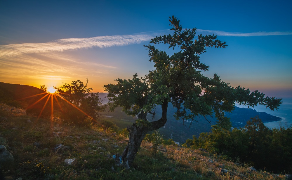 Ausschreibung Balaclava.