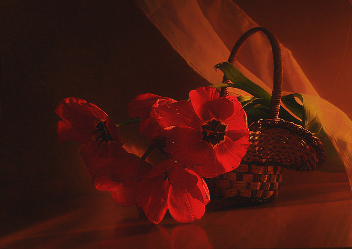 Glückliche Tag des Sieges!