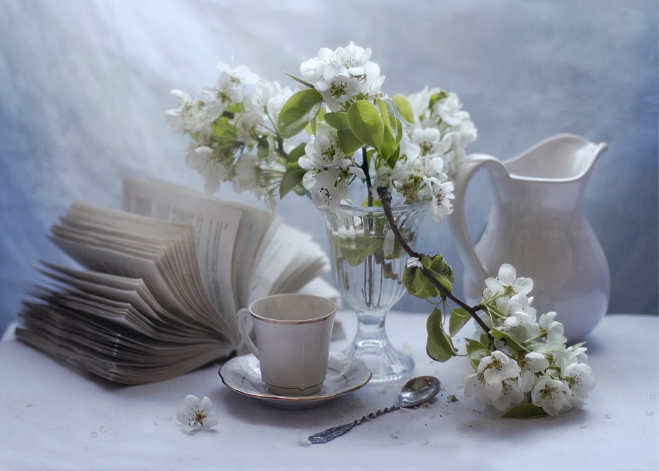 Ausschreibungs Mai ...