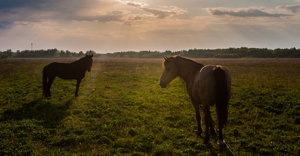 Abend-Landschaft