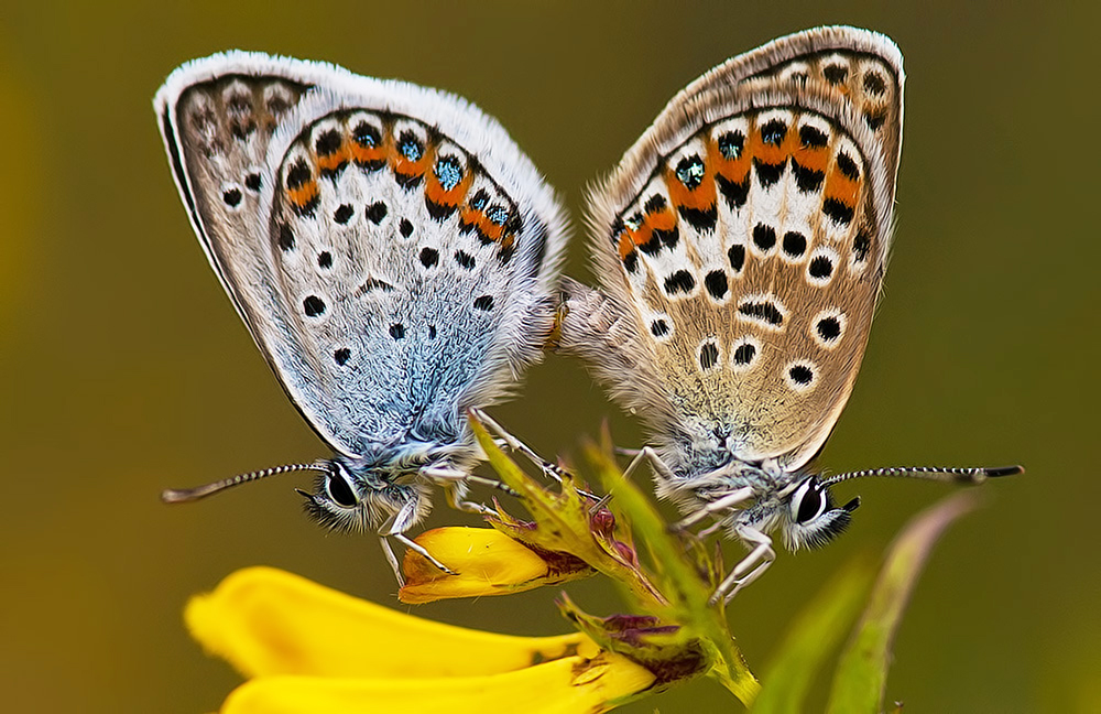 Das Leben geht weiter