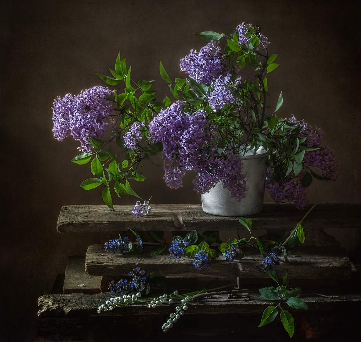 Schritte im Frühjahr ...