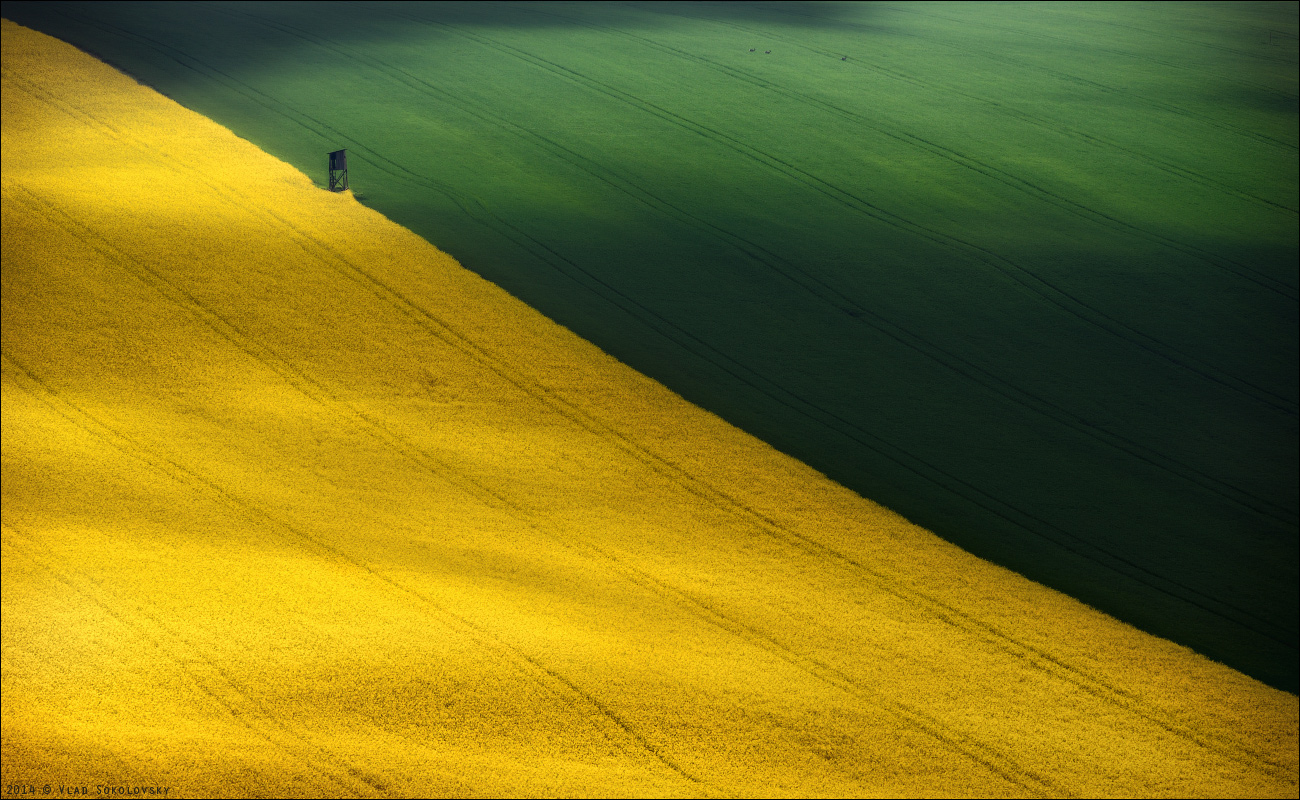 / Landschaft mit Rogen /