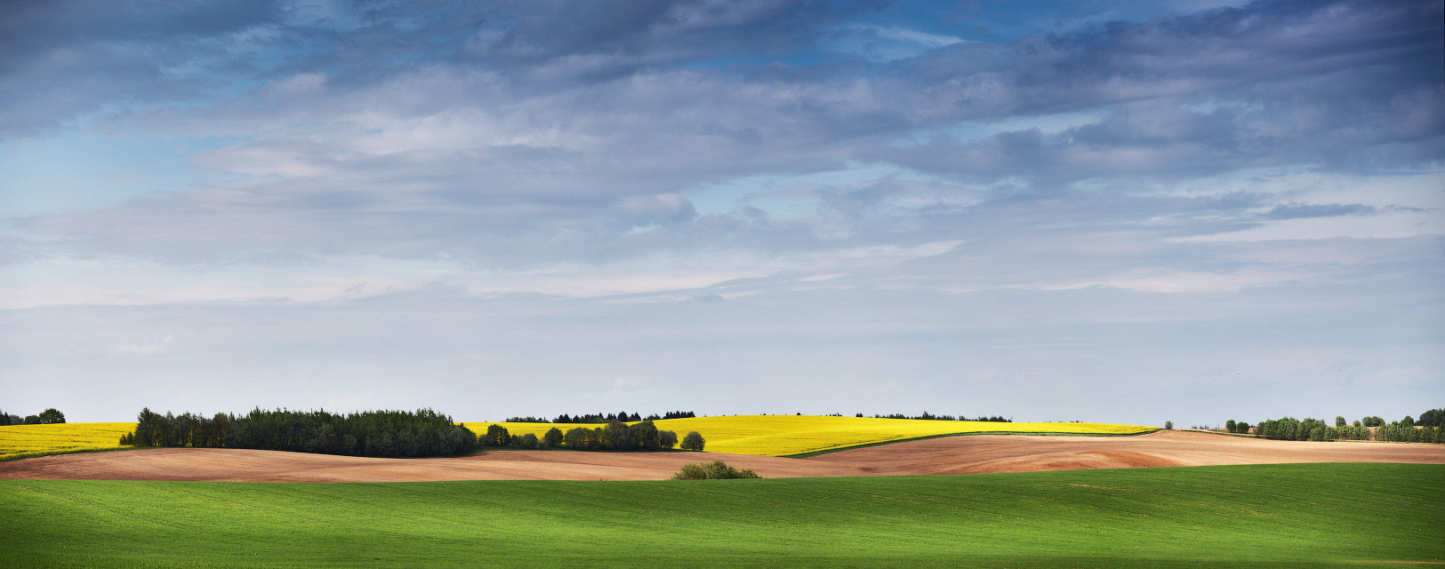 Mai in der Nähe von Minsk