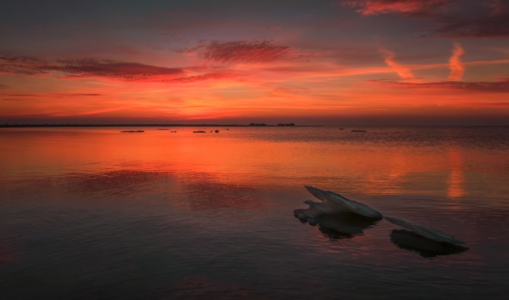 Und ich war fasziniert