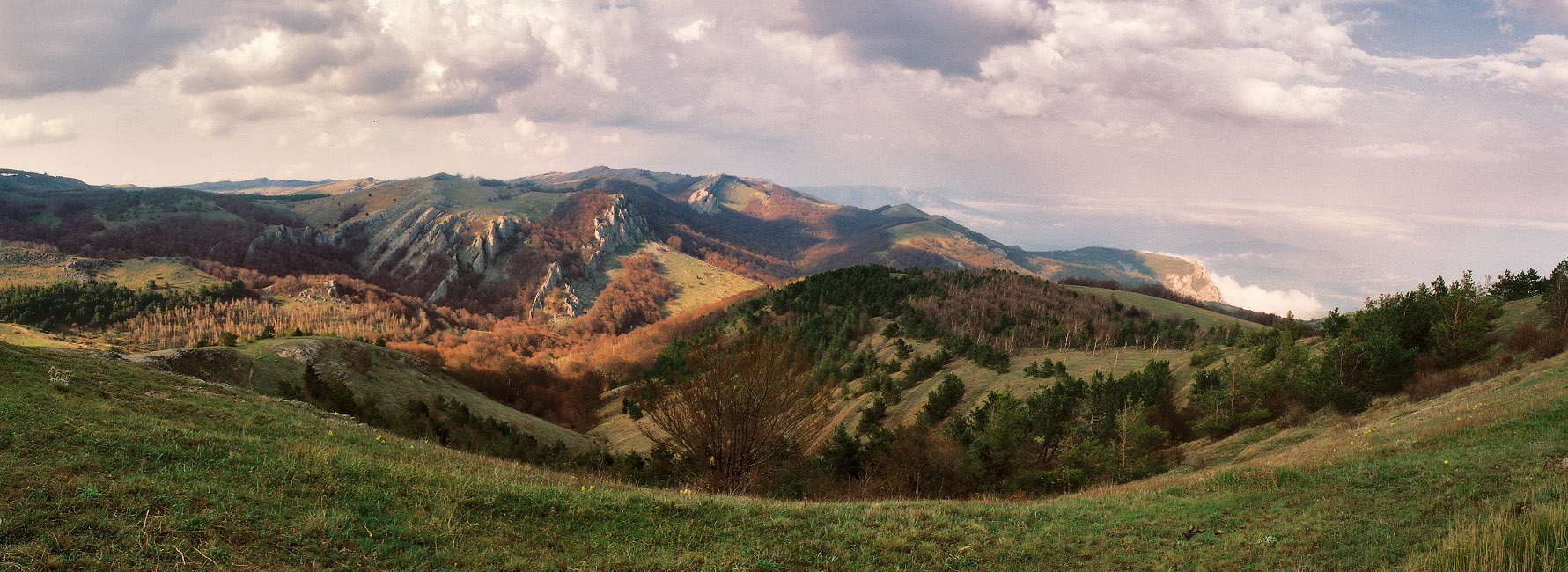 Krim. Membran-Archiv.