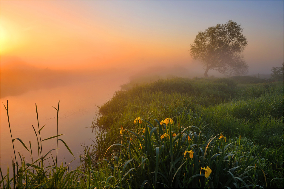 Der Sommer beginnt ...