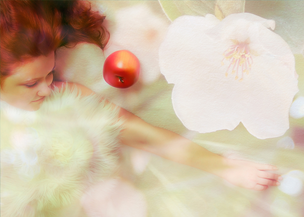 Dreaming Flanna - flower fly