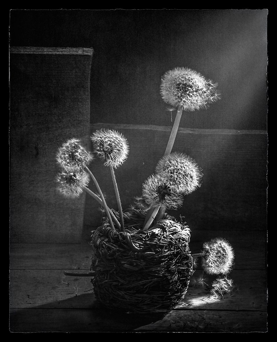 Zurück zum Anfang ...