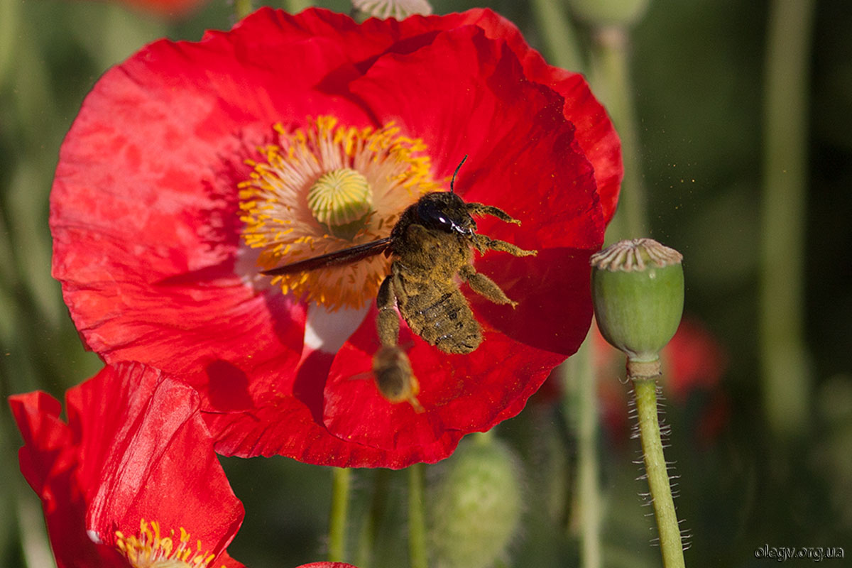 Das ist mein Schatz!