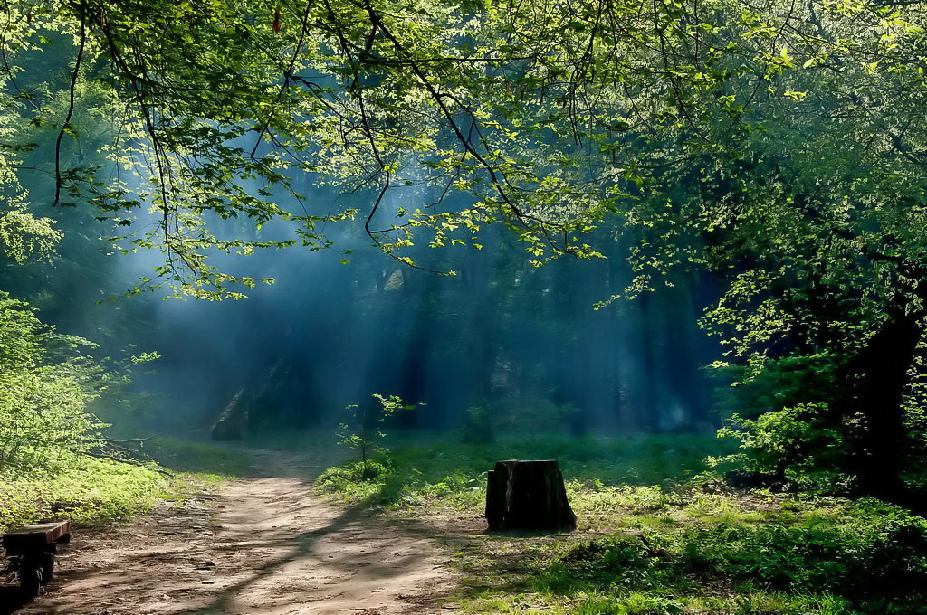 Im April ist der Park