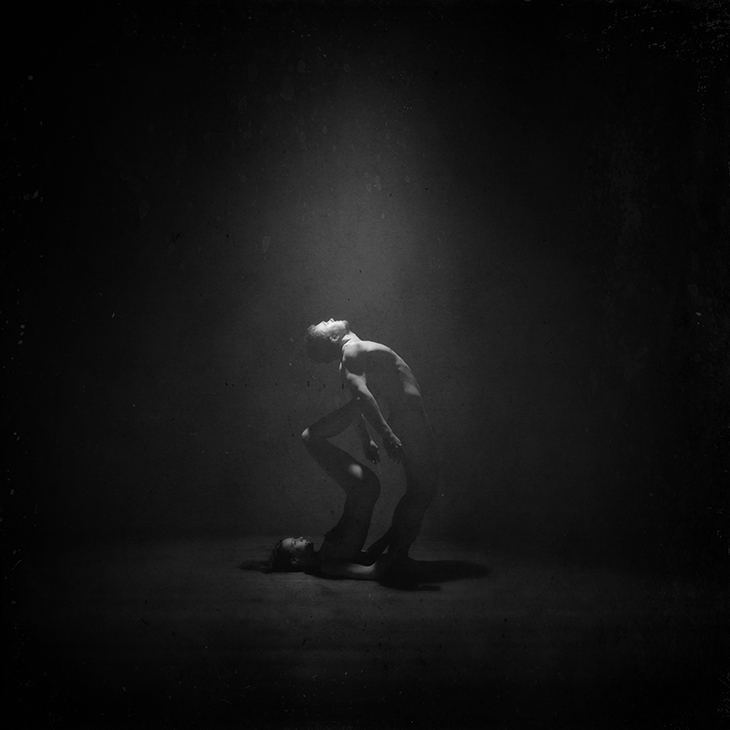 / Baum männliche Teil