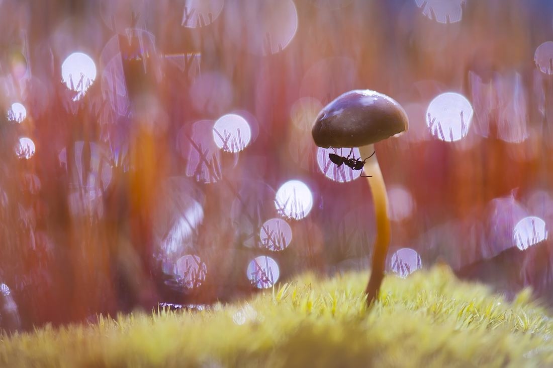 Ruhen von der Arbeit