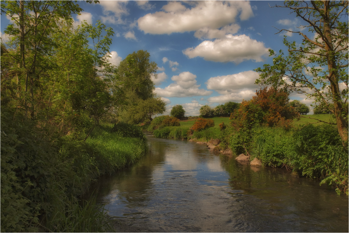 ... "Forellen Trails" XVII ...