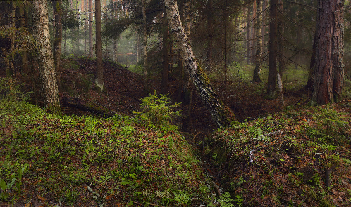Über malenkkuyu Fischgräten