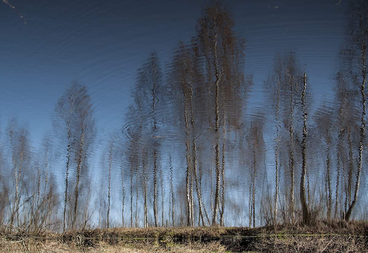 Frosch in der März-Himmel